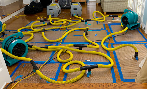 Professional Crawl Space Water Removal technician working in Minden, LA